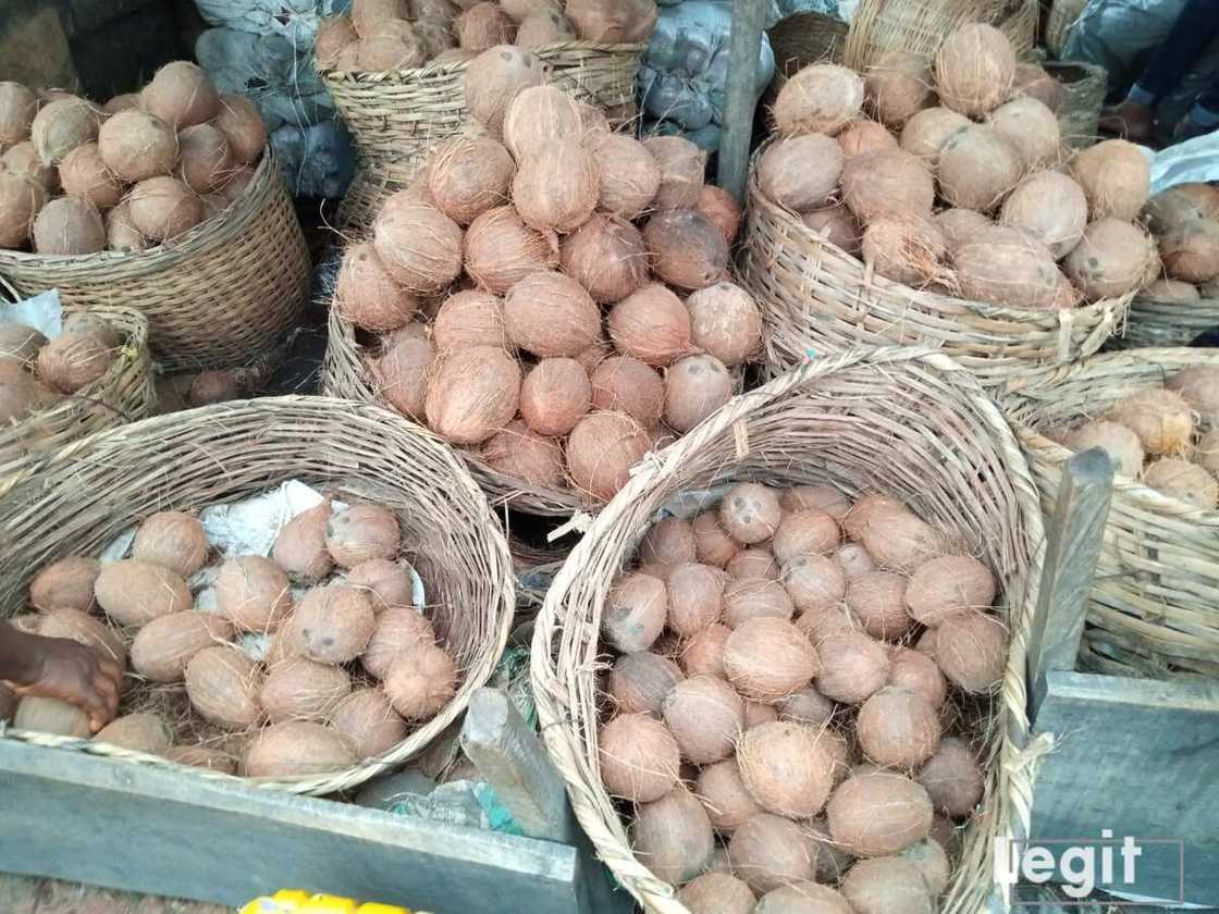 The high cost of some fruits has led to decline in sales as revealed by the sellers. Photo credit: Esther Odili The high cost of some fruits has led to decline in sales as revealed by the sellers. Photo credit: Esther Odili