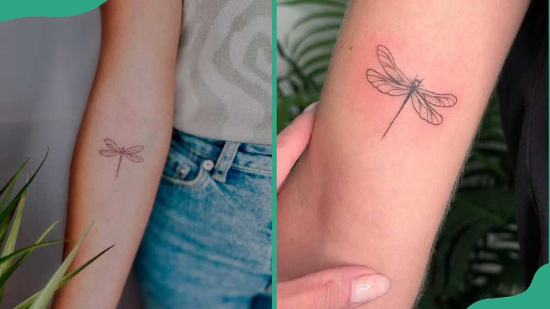 Cute fine line dragonfly tattoos Cute fine line dragonfly tattoos