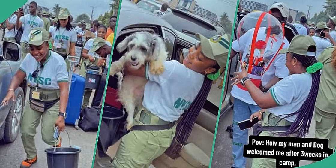 Female corper received by her man and dog in grand style