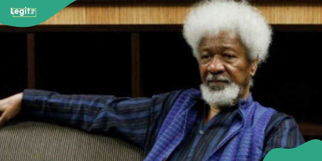 Soyinka says Obidients were used by some ex-generals Soyinka says Obidients were used by some ex-generals