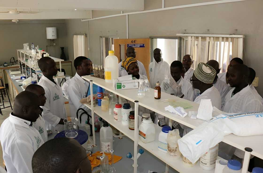A group of Ahmadu Bello University students in a laboratory A group of Ahmadu Bello University students in a laboratory