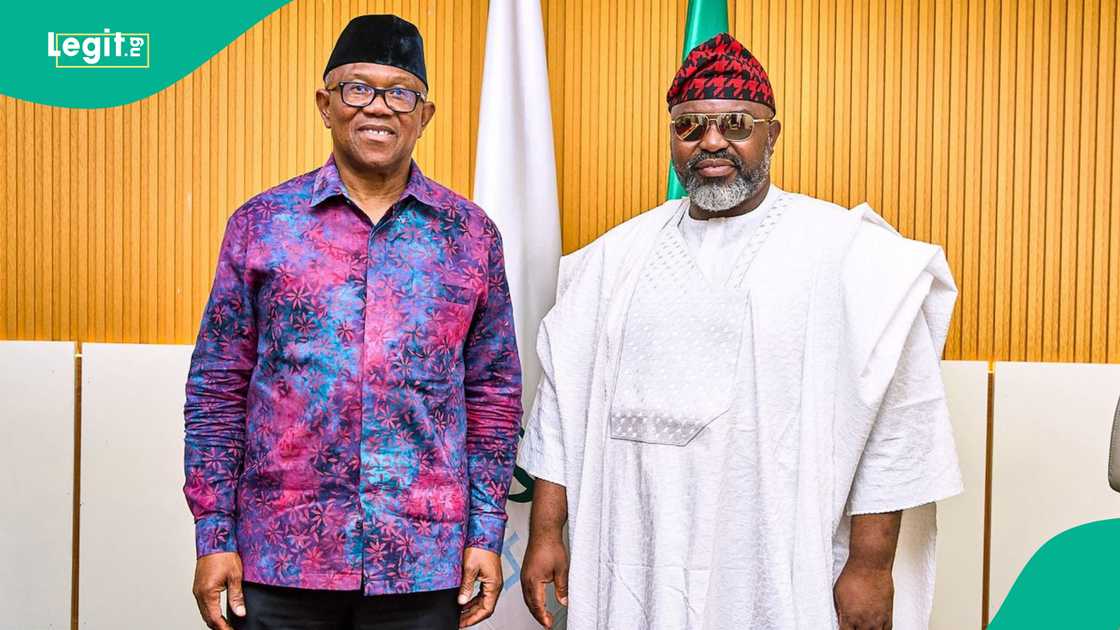 Ahmad Tijjani Umar da Peter Obi