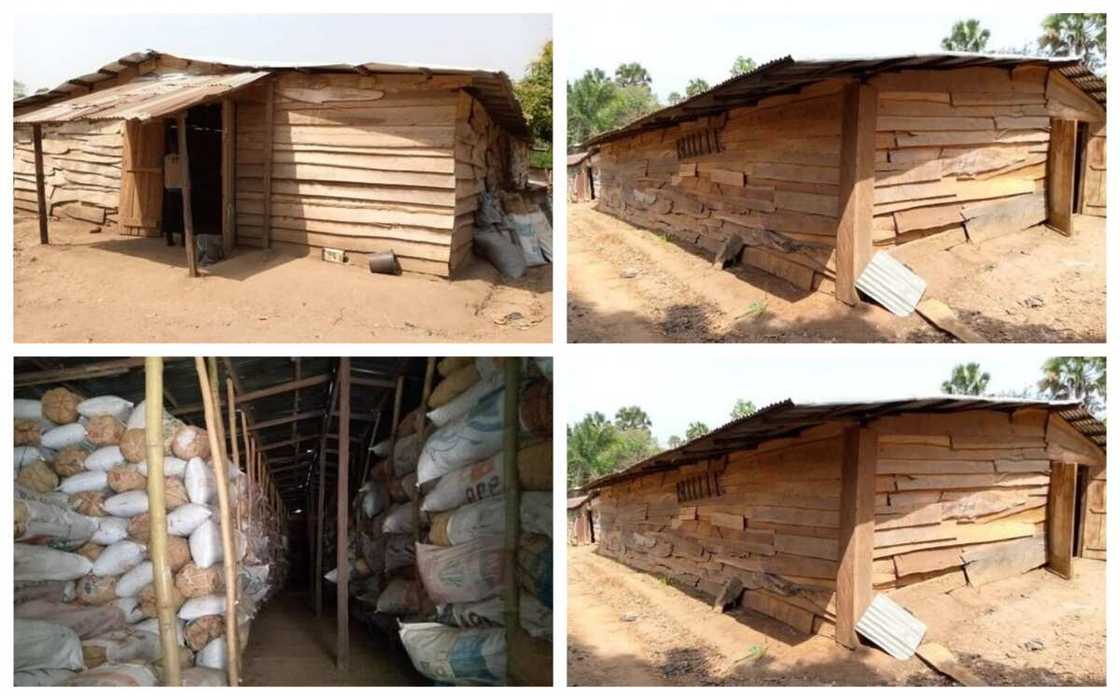 NDLEA ta bankado wani kauyen wiwi, ta cafke kwayoyi ‘masu darajar N1.4bn’ a Edo NDLEA ta bankado wani kauyen wiwi, ta cafke kwayoyi ‘masu darajar N1.4bn’ a Edo