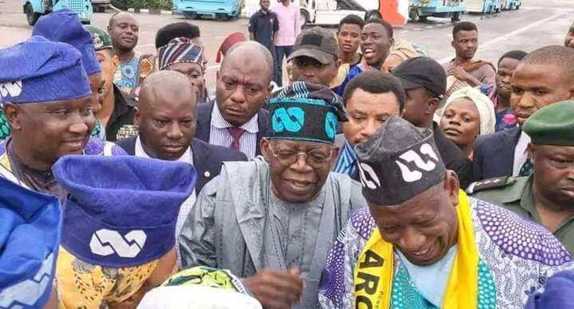 Zuwan Tinubu Kano. Zuwan Tinubu Kano.