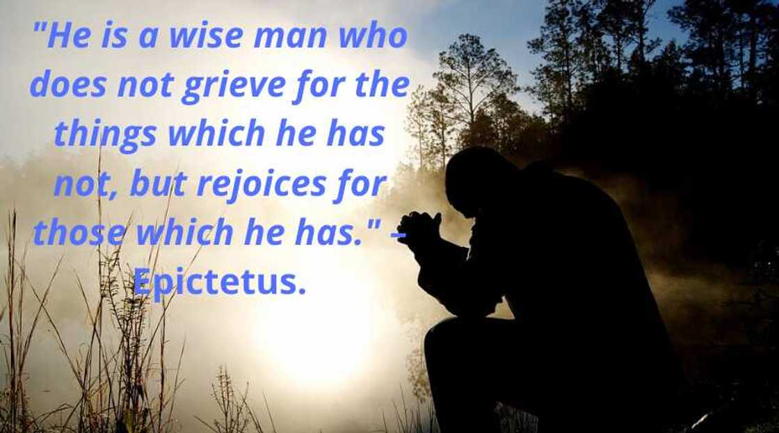 wise man quotes wise man quotes