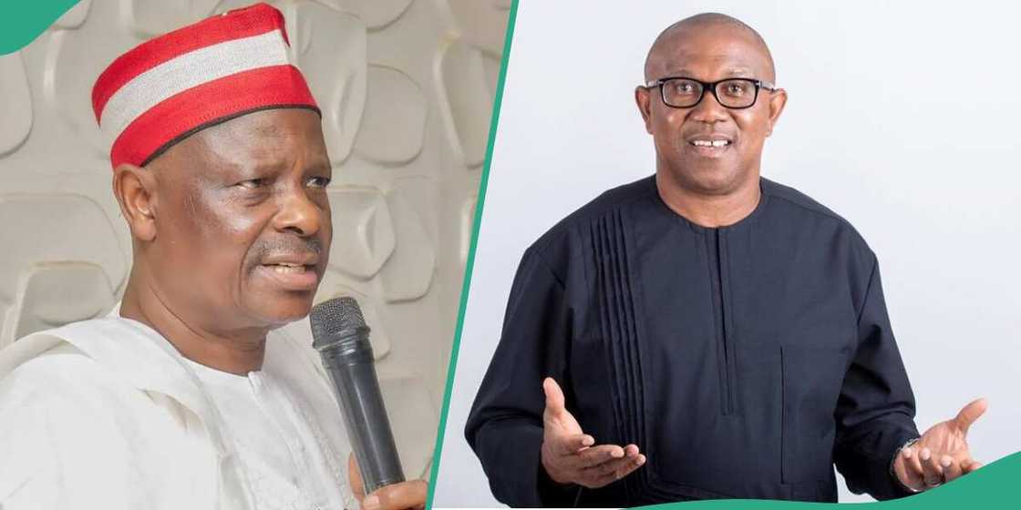 Peter Obi meets Kwankwaso in Kano