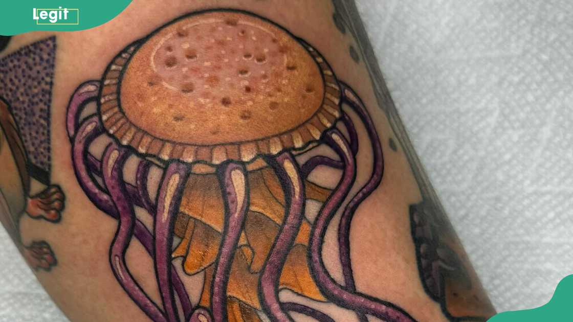 Peanut butter and jellyfish Peanut butter and jellyfish