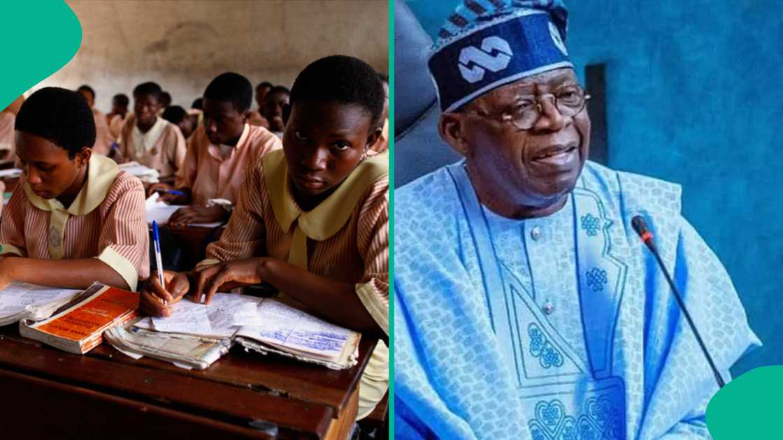 Nigeria’s new school curriculum introduces AI, coding, and digital literacy to prepare students for a tech-driven future. Nigeria’s new school curriculum introduces AI, coding, and digital literacy to prepare students for a tech-driven future.