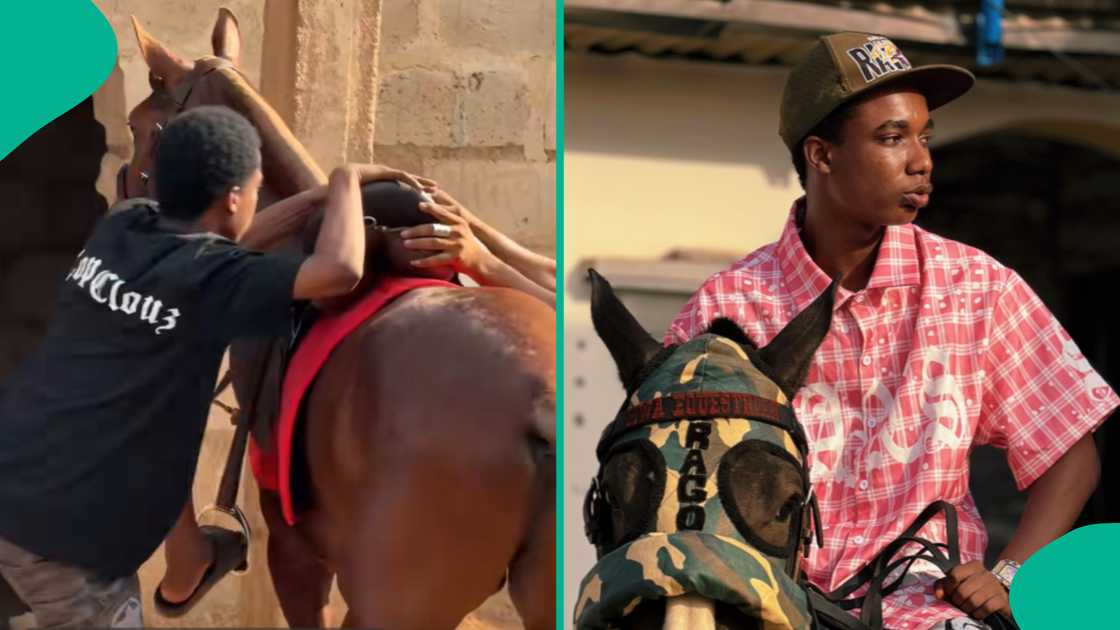 Nigerian man goes viral after buying his first horse.