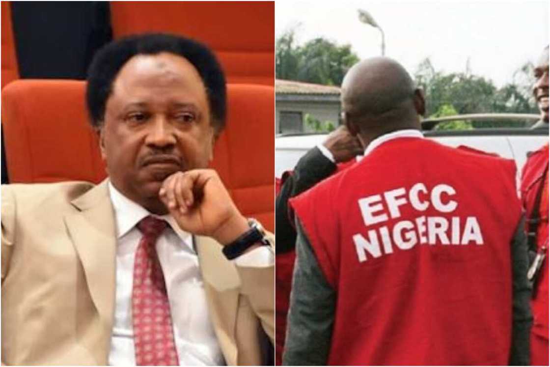 EFCC gets court order to detain Shehu Sani for 14 days as complainant confronts ex-senator EFCC gets court order to detain Shehu Sani for 14 days as complainant confronts ex-senator