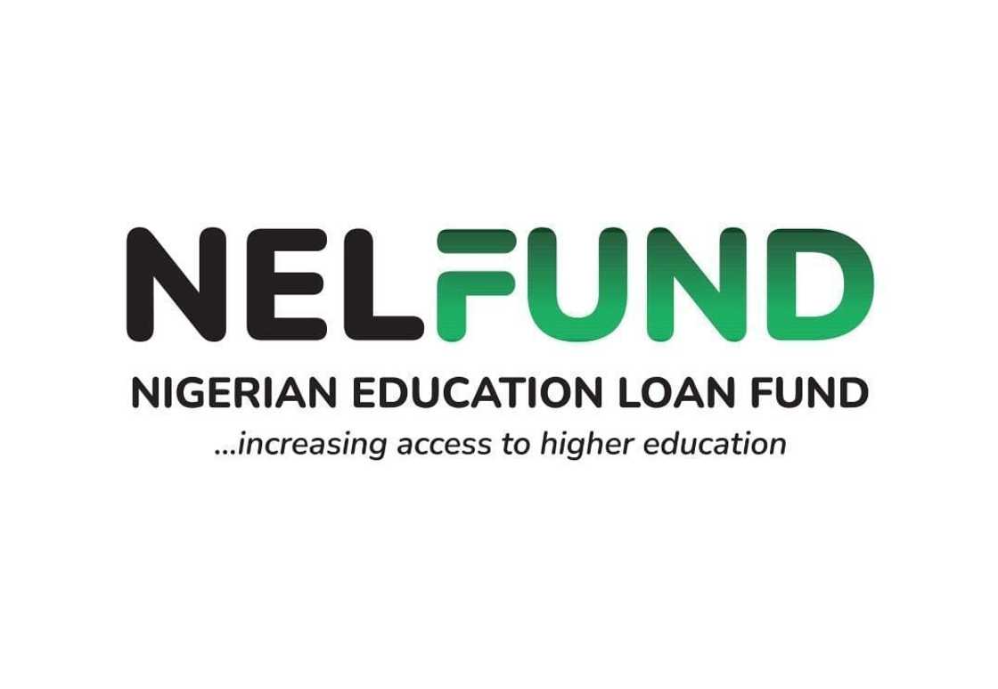 NELFUND warns schools over non-compliance as unverified student loan applications face automatic cancellation.