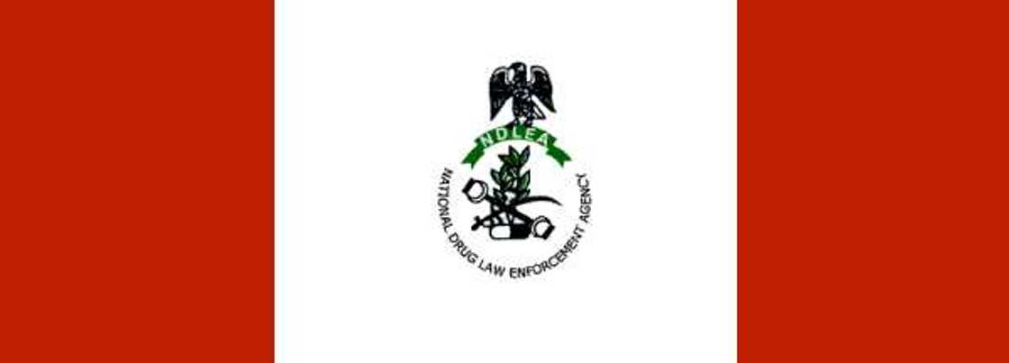 NDLEA flag NDLEA flag