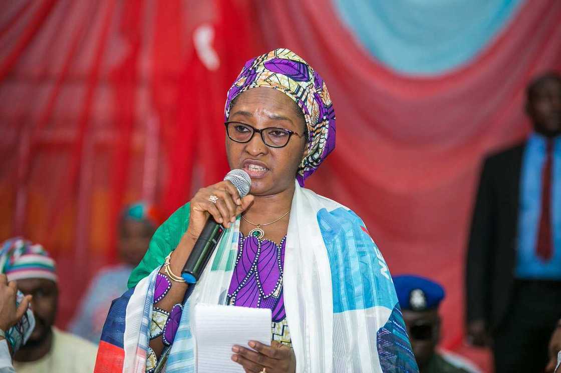 Selling public assets will boost Nigeria's economy, says finance minister Selling public assets will boost Nigeria's economy, says finance minister