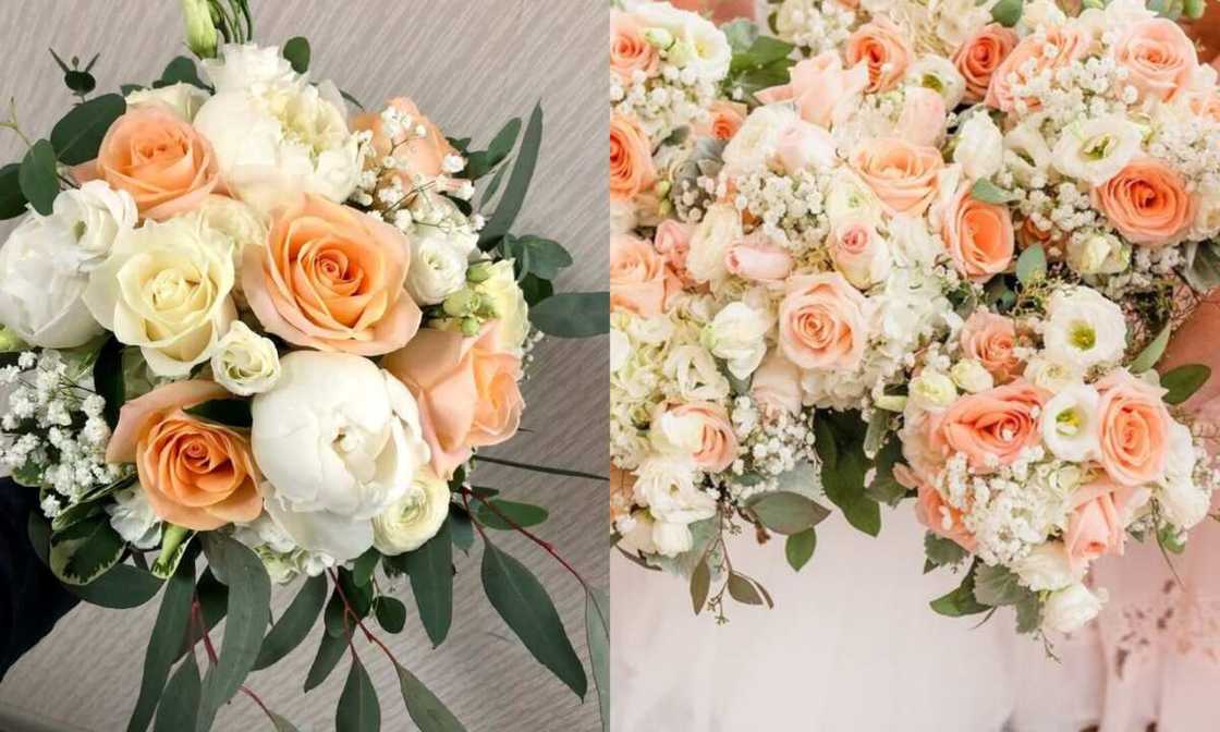peach color combinations peach color combinations