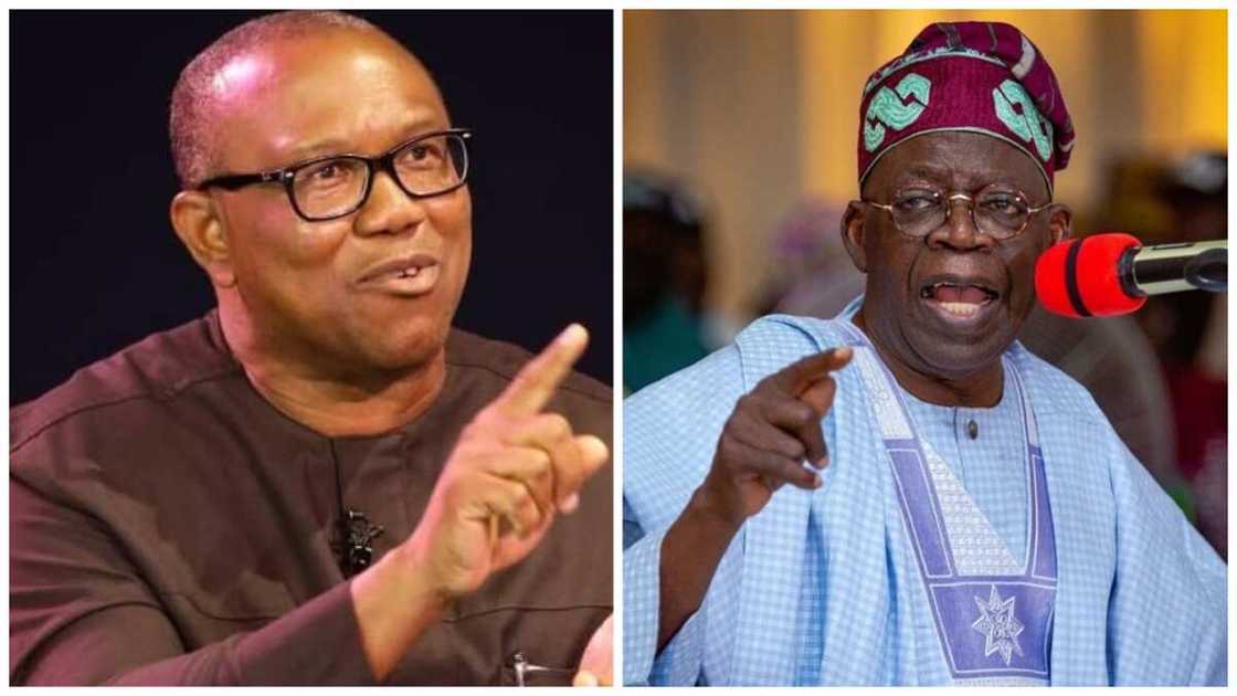 Ohaneze Ndigbo backs Obi Ohaneze Ndigbo backs Obi