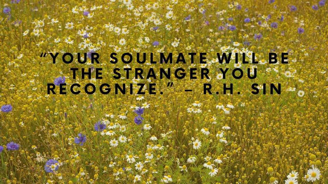 You are my soulmate quotes You are my soulmate quotes