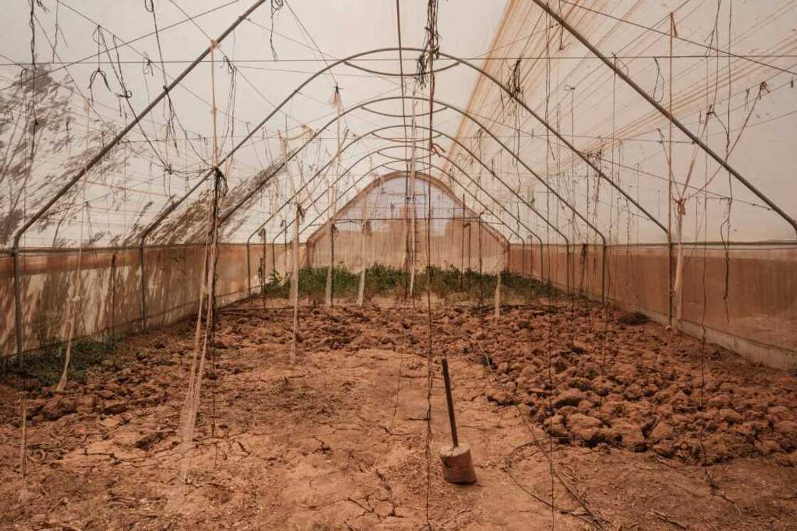 African leaders said wealthy countries responsible for most CO2 emissions should have attended the summit African leaders said wealthy countries responsible for most CO2 emissions should have attended the summit