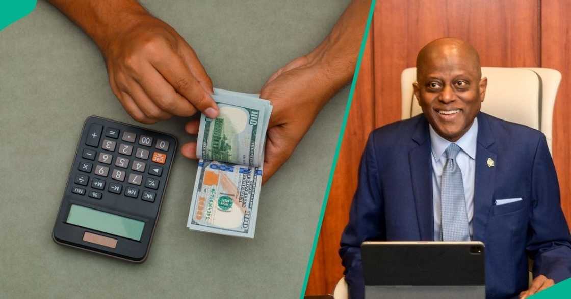 Central Bank of Nigeria rules out naira devaluation