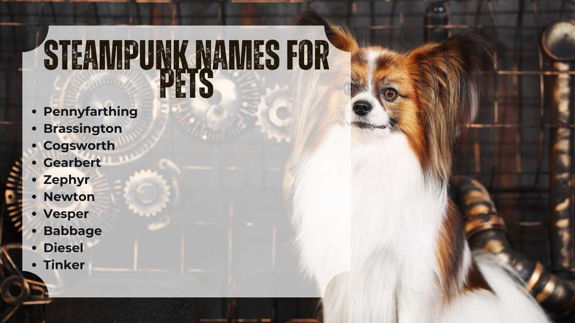 Steampunk names for pets Steampunk names for pets