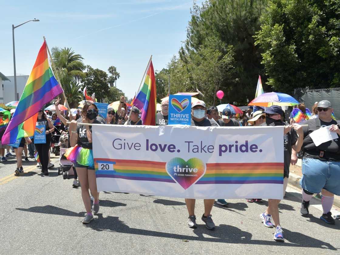 Attendees celebrate their sexuality at a 2022 Pride parade in West Hollywood, California - but America is seeing dwindling tolerance for diversity programs