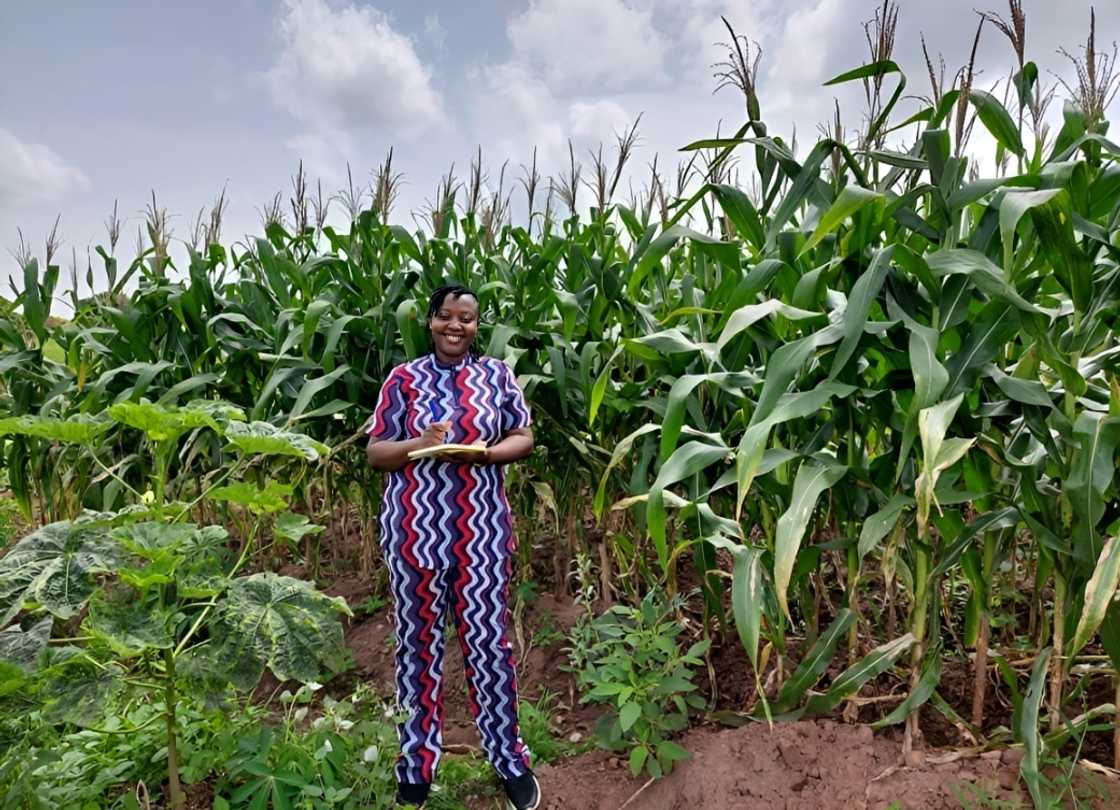 Dr. Folusho Bankole poses in front of University of Ilorin's maize plantation