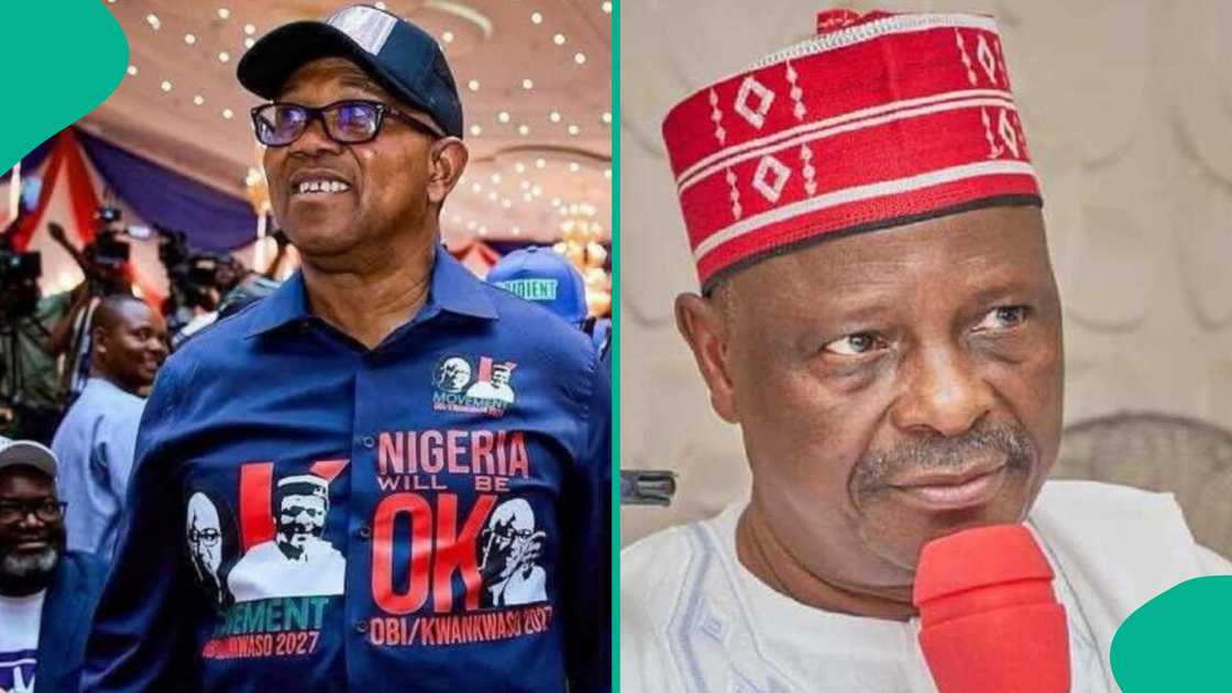 NDC vice-presidential race positions Kano state for future presidential leadership. NDC vice-presidential race positions Kano state for future presidential leadership.