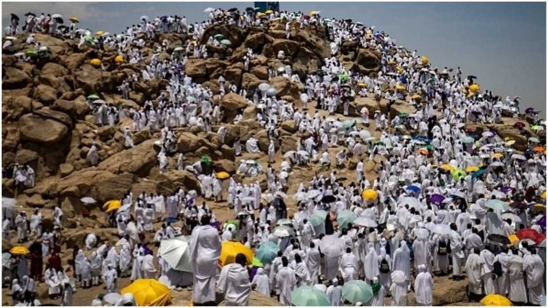 Kaduna pilgrim, Hajj 2022, Mount Arafat Kaduna pilgrim, Hajj 2022, Mount Arafat
