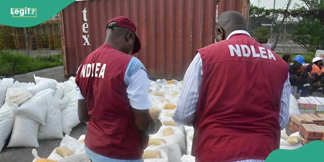 NDLEA shares photos, declares 4 ‘Barryshine’ drug cartel members wanted