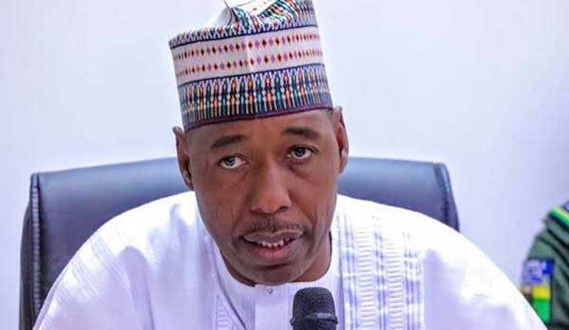 Babagana Zulum, APC, PDP, Borno state Babagana Zulum, APC, PDP, Borno state