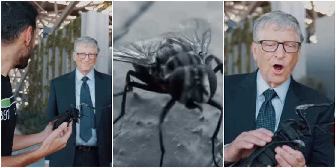 Reactions as man gifts billionaire Bill Gates a dead fly as gift in stunning video Reactions as man gifts billionaire Bill Gates a dead fly as gift in stunning video
