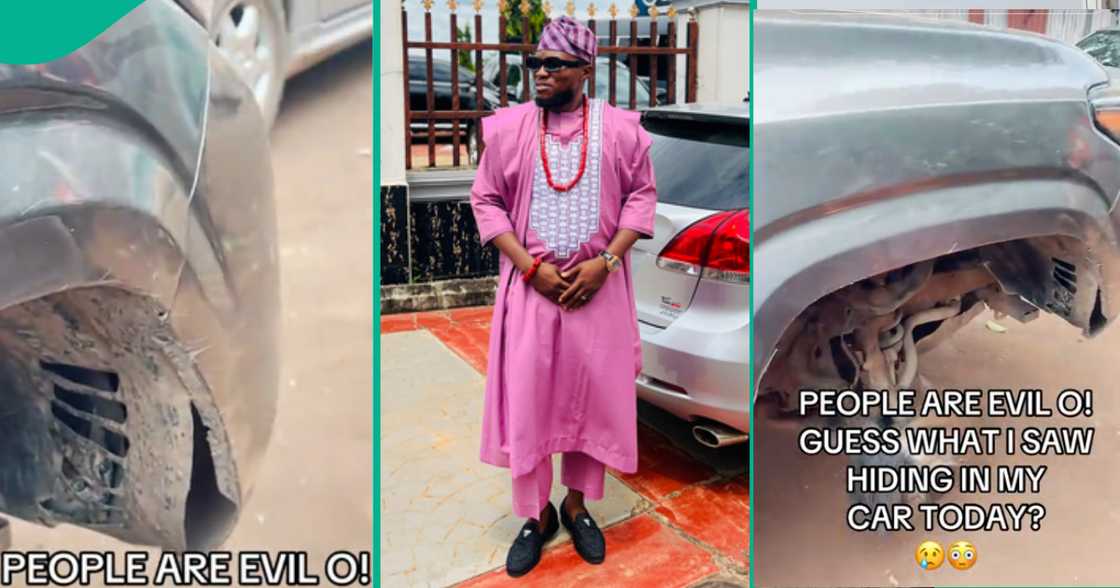 Nigerian man elicits reactions online as he shows creature he found in his car's fender in viral TikTok video. Nigerian man elicits reactions online as he shows creature he found in his car's fender in viral TikTok video.