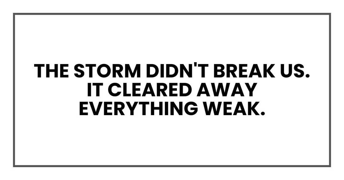 The storm didn't break us. It cleared away everything weak. The storm didn't break us. It cleared away everything weak.