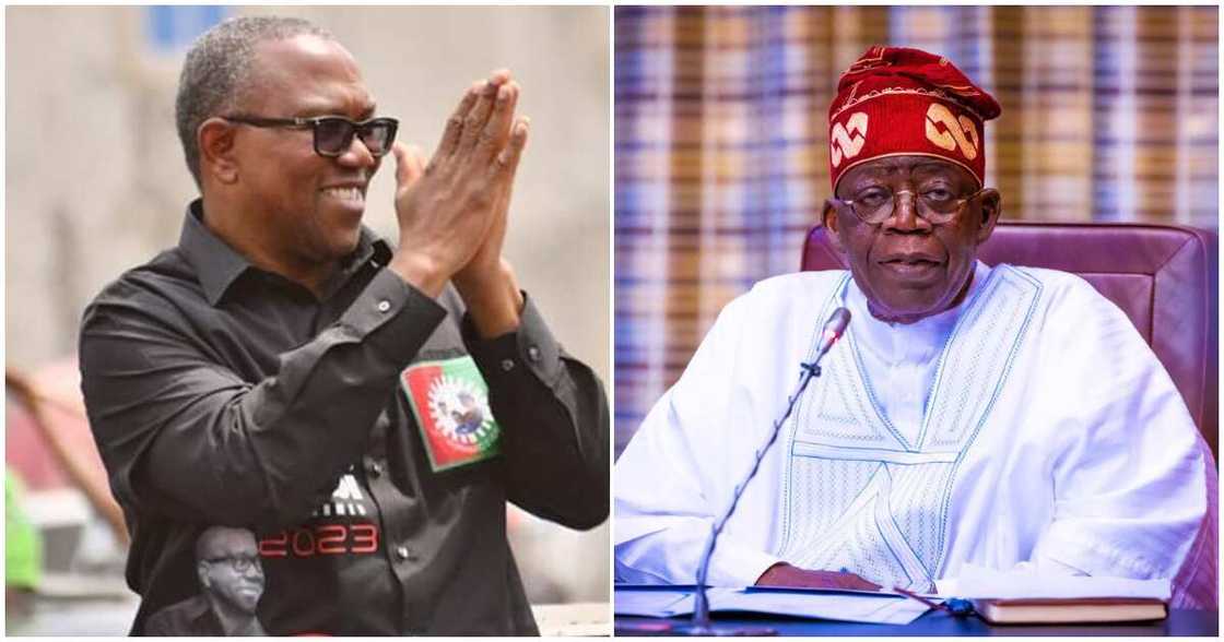 Peter Obi/Peter Obi news today/Peter Obi news now Peter Obi/Peter Obi news today/Peter Obi news now