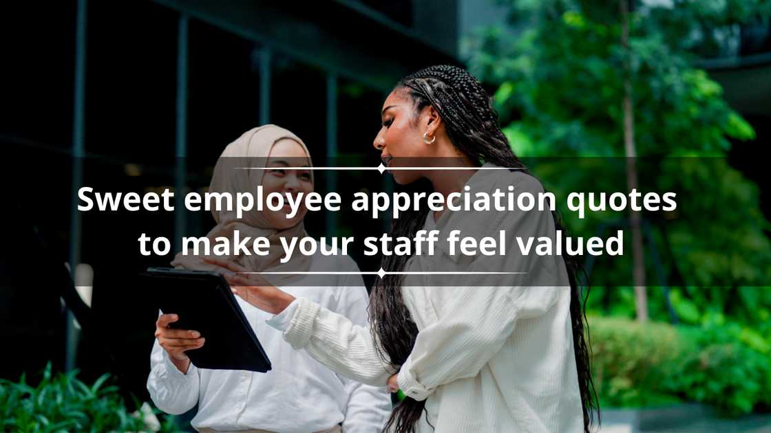 How To Make Your Staff Feel Valued 70 sweet employee appreciation quotes to make your staff feel valued