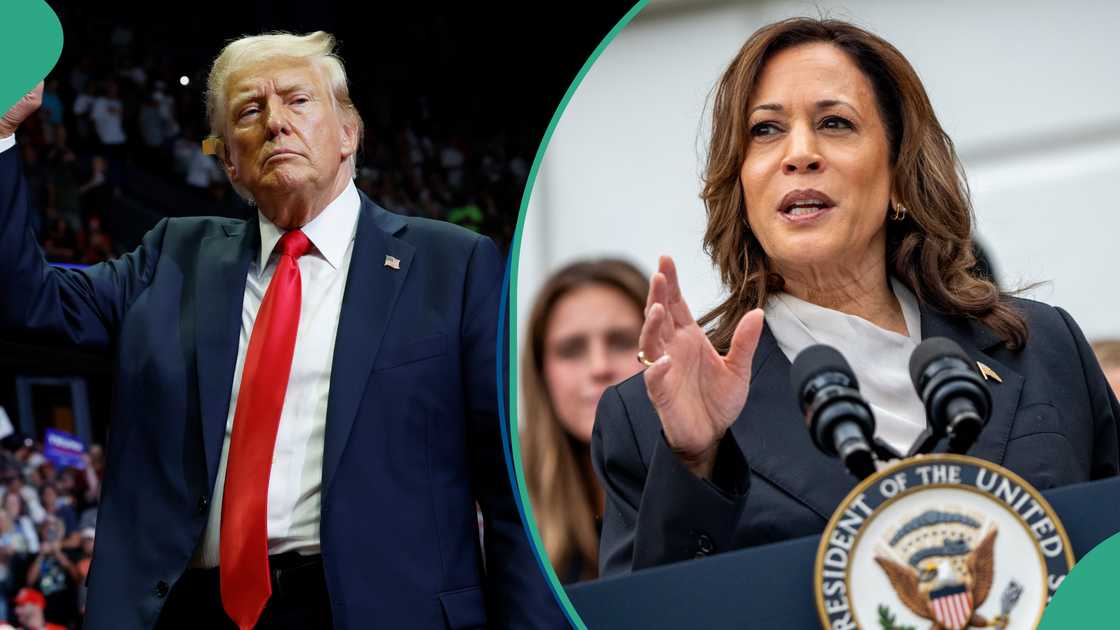 Poll predicts winner of US 2024 presidential election between Trump, Kamala Harris