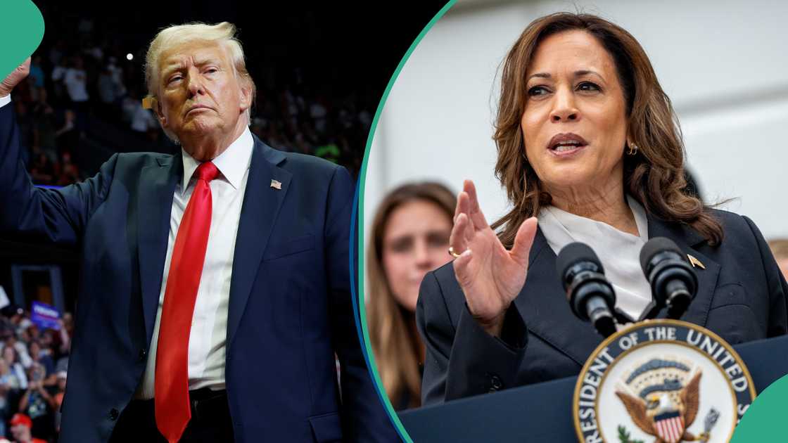 Poll predicts winner of US 2024 presidential election between Trump, Kamala Harris Poll predicts winner of US 2024 presidential election between Trump, Kamala Harris