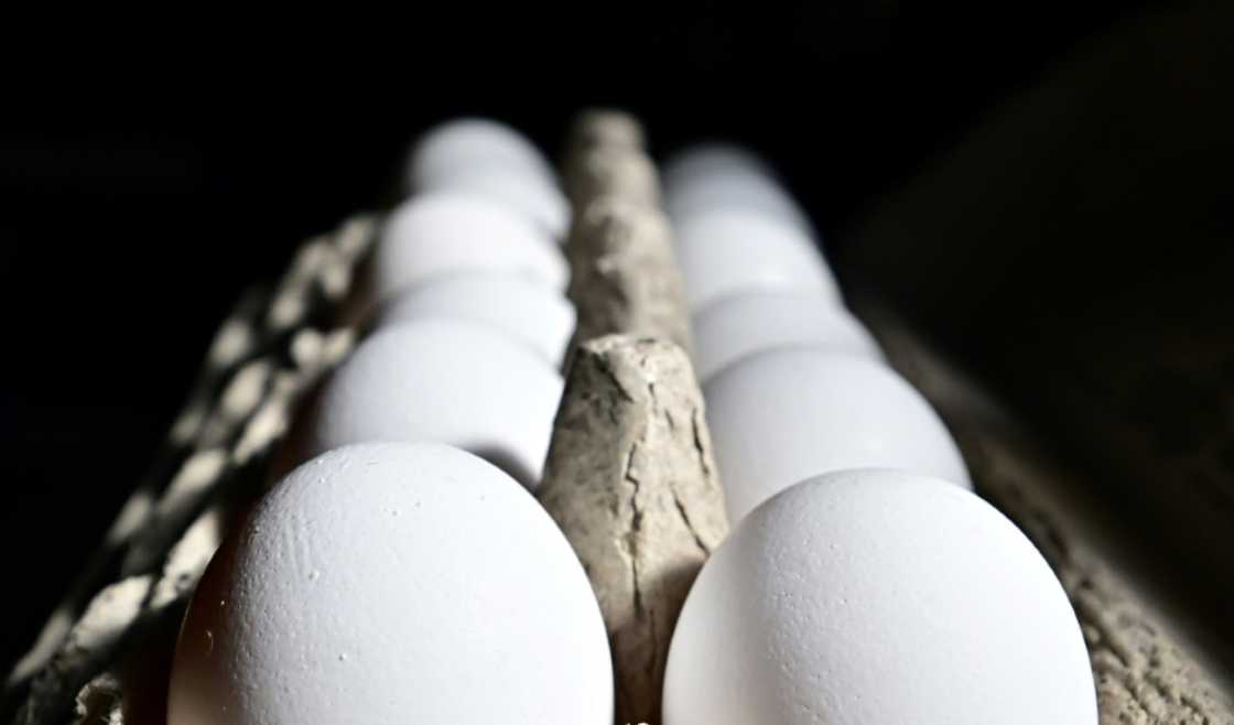 An avian flu outbreak has curtailed the supply of eggs in the United States, pushing up prices