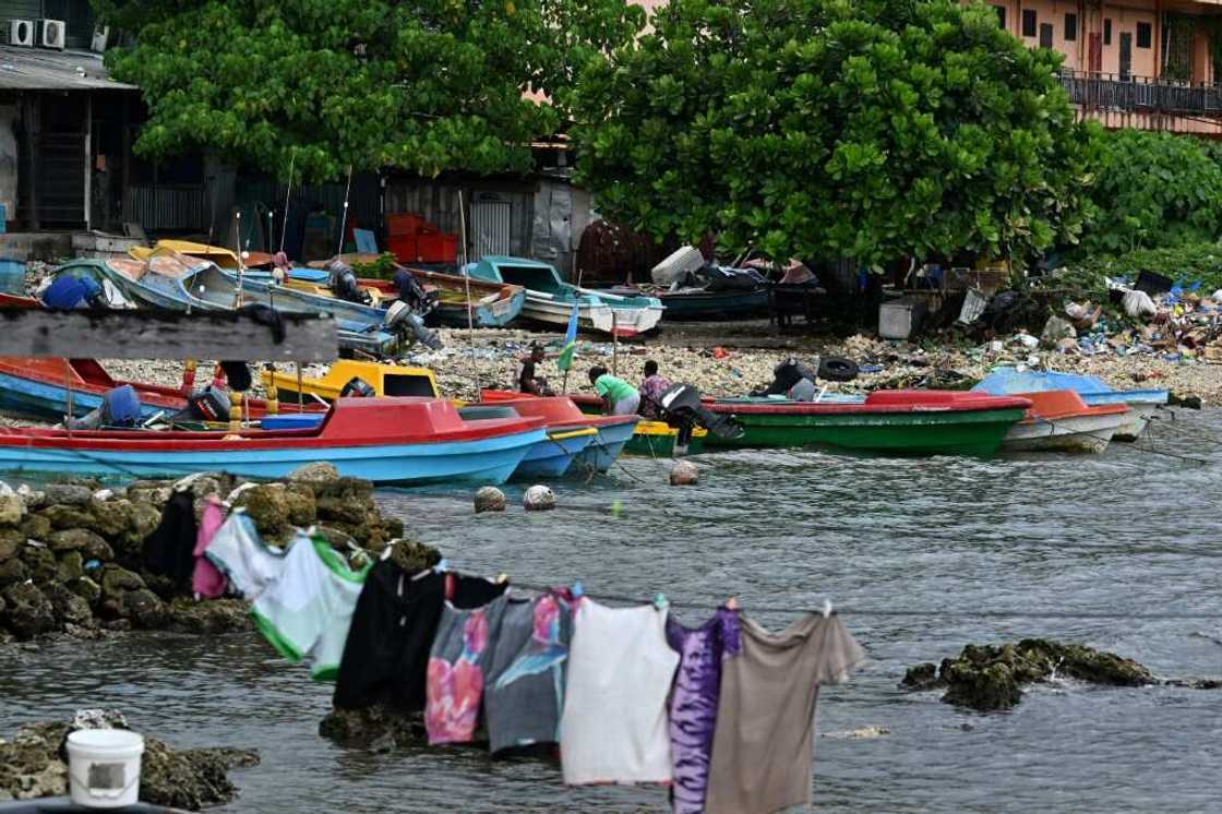 The Pacific's Solomon Islands has become a key player in the global live animal trade, with foreign collectors sourcing exotic species including some subject to trade bans The Pacific's Solomon Islands has become a key player in the global live animal trade, with foreign collectors sourcing exotic species including some subject to trade bans
