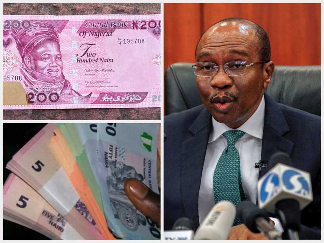 Gwamnan CBN. Gwamnan CBN.