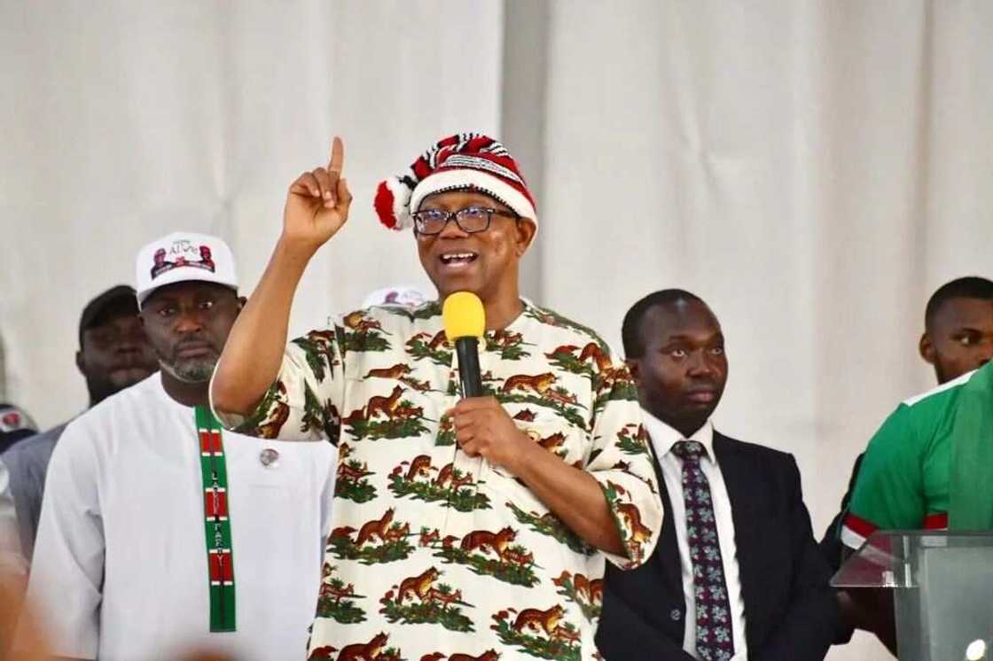 Peter Obi, LP, Senate, Reps Peter Obi, LP, Senate, Reps