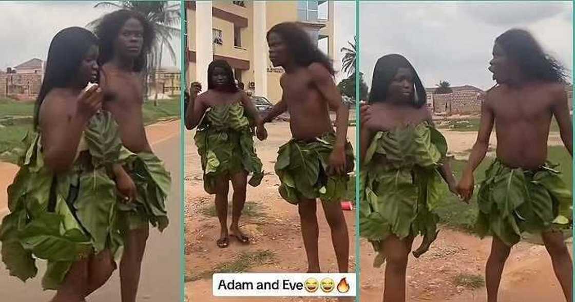 UNIBEN students dress in leaves on costume day to imitate Adam and Eve UNIBEN students dress in leaves on costume day to imitate Adam and Eve