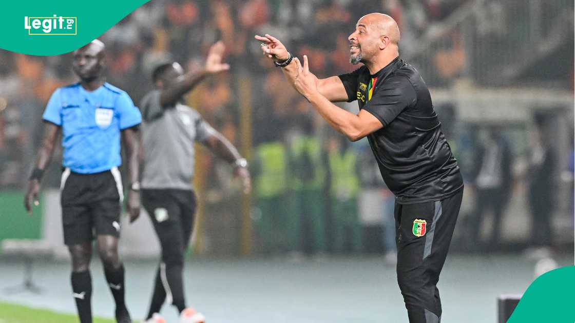 Eric Chelle has over seen 2 matches as Super Eagles coach Eric Chelle has over seen 2 matches as Super Eagles coach