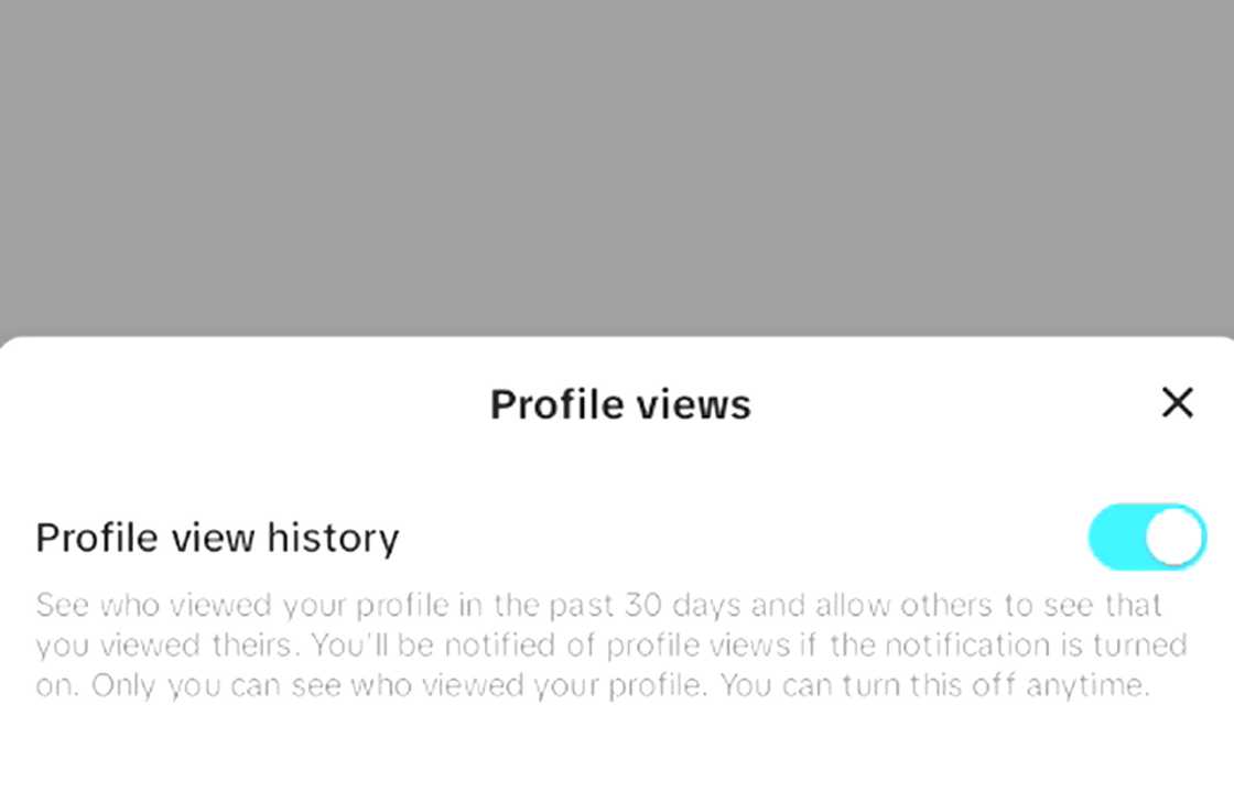 Checking TikTok profile view history