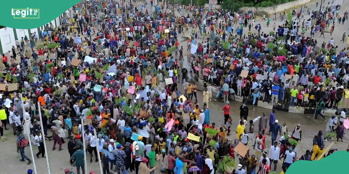 Security operative captured gunning down protester in Bauchi Security operative captured gunning down protester in Bauchi