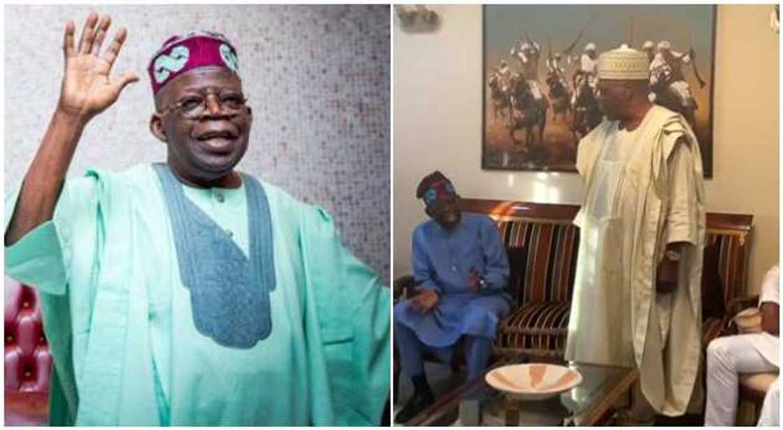 Bola Tinubu, Babagana Kingibe Bola Tinubu, Babagana Kingibe