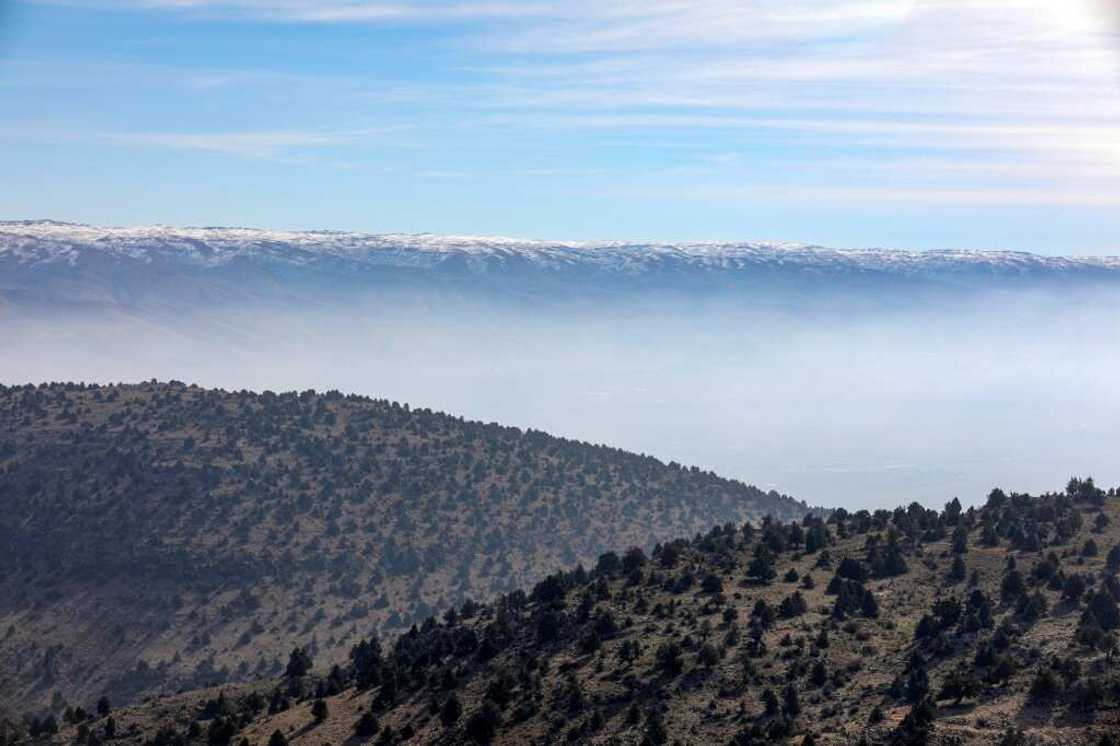 Lebanon, whose flag bears a cedar tree, is known for its greenery