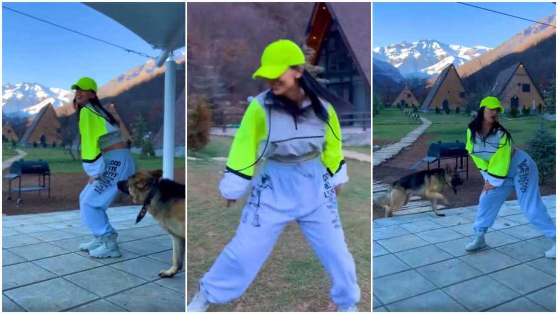 The professional dancer's dog came around her. The professional dancer's dog came around her.