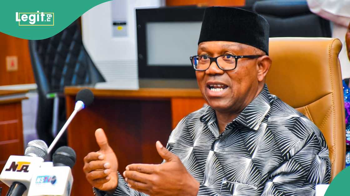 PDP speaks on plans to bring Peter Obi back into its folds
