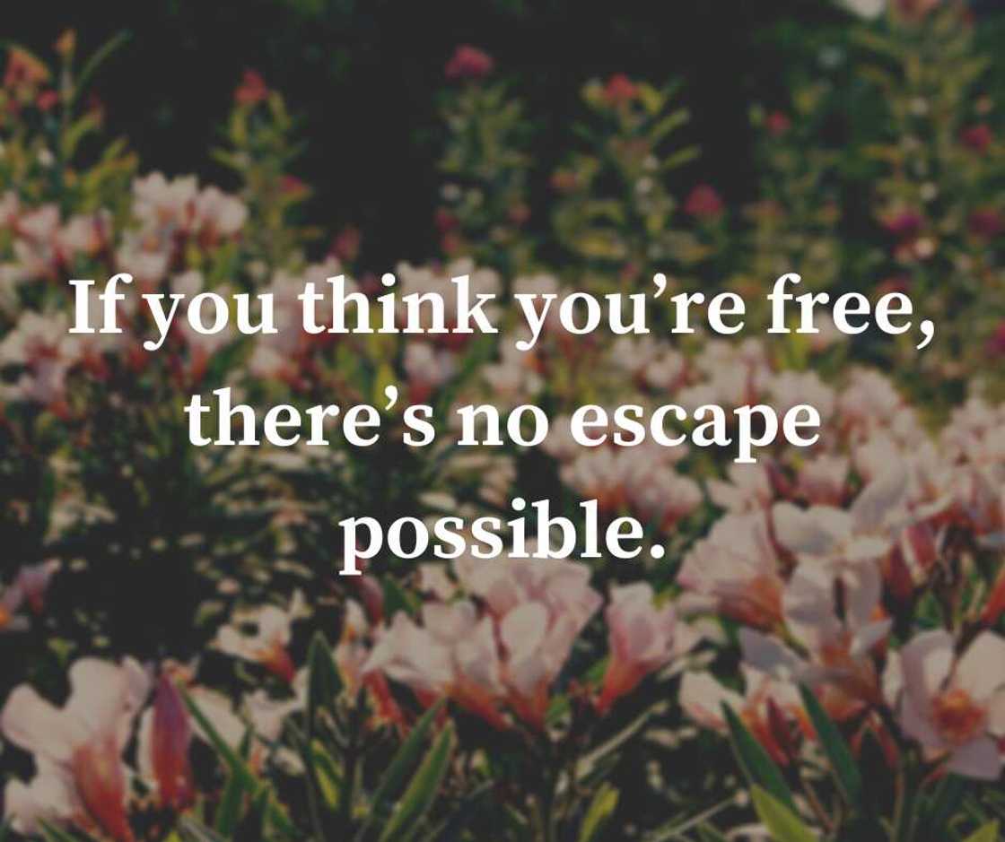 Ram Dass death quotes Ram Dass death quotes