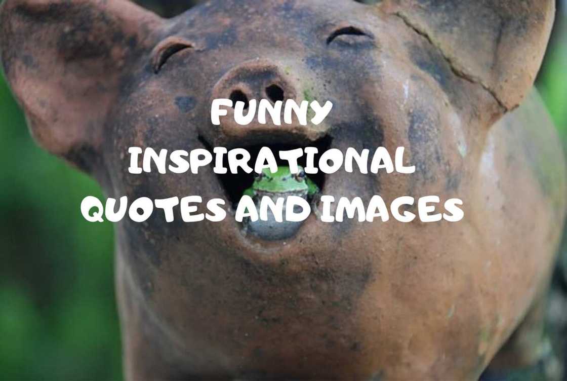 funny inspirational quotes